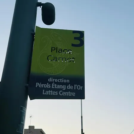 Апартаменты Paradis Calme En Plein Centre Монпелье