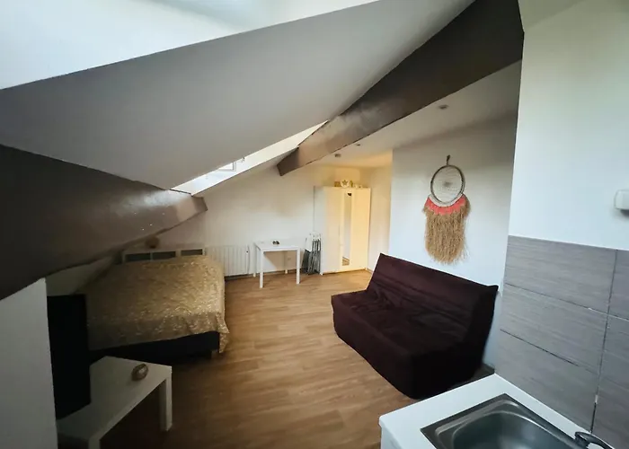 Calme En Plein Centre